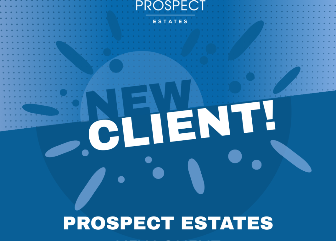 New Client and Website Project for Prospect Estates