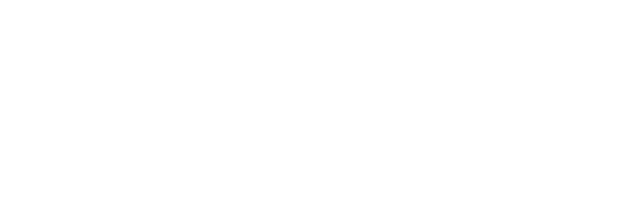 Typography   Viva