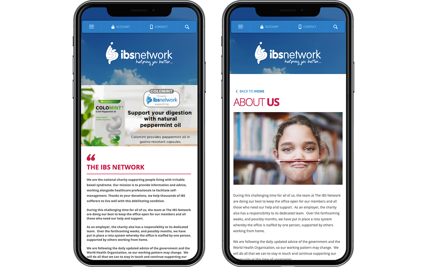 IBS Network 2 Iphone Mockups