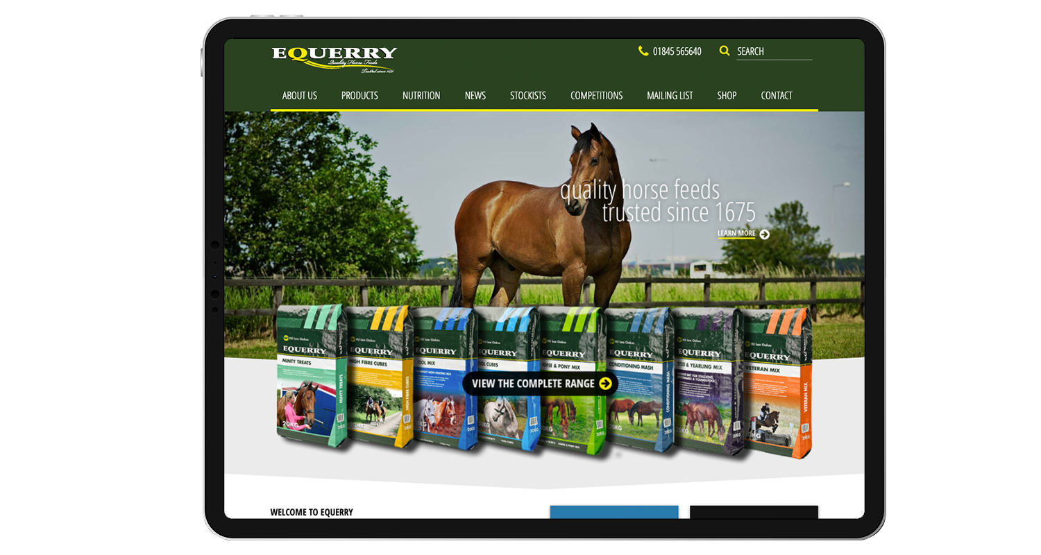 EQuerry iPad Mockup