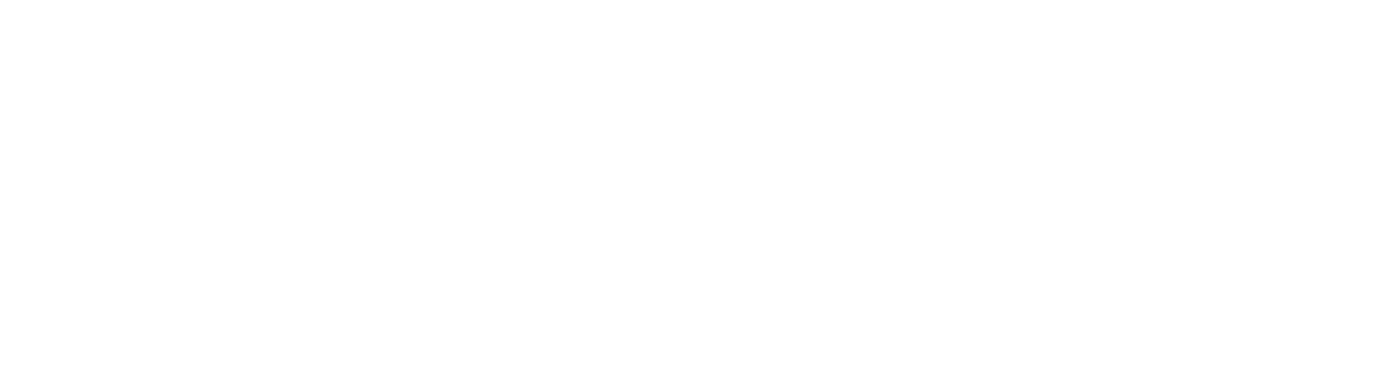 Rej Bliss Text