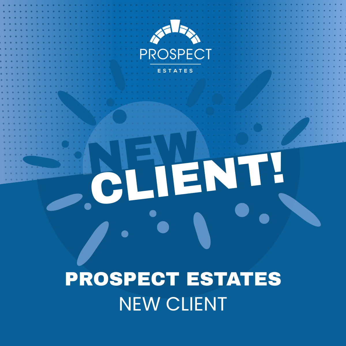 New Client and Website Project for Prospect Estates